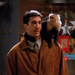 Friends Season 1 Review: “Gum Would Be Perfection!”